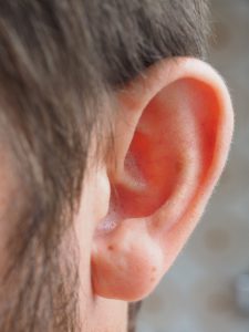 ear-1355649_1280